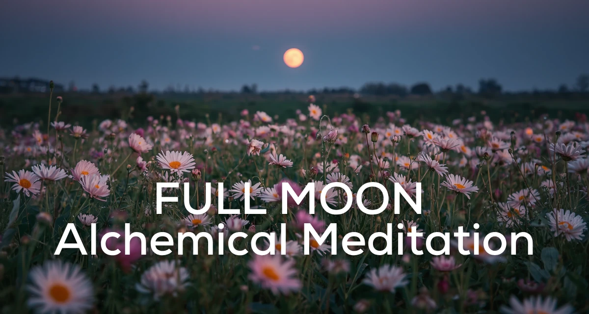 Rising moon over field of flowers