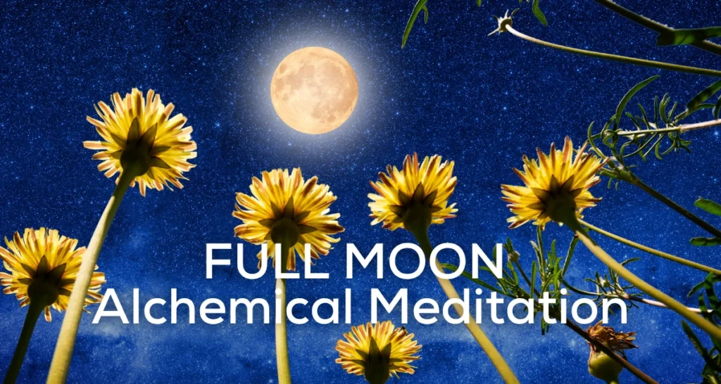 Full moon rising over field of flowers