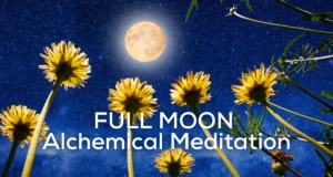 Full moon rising over field of flowers